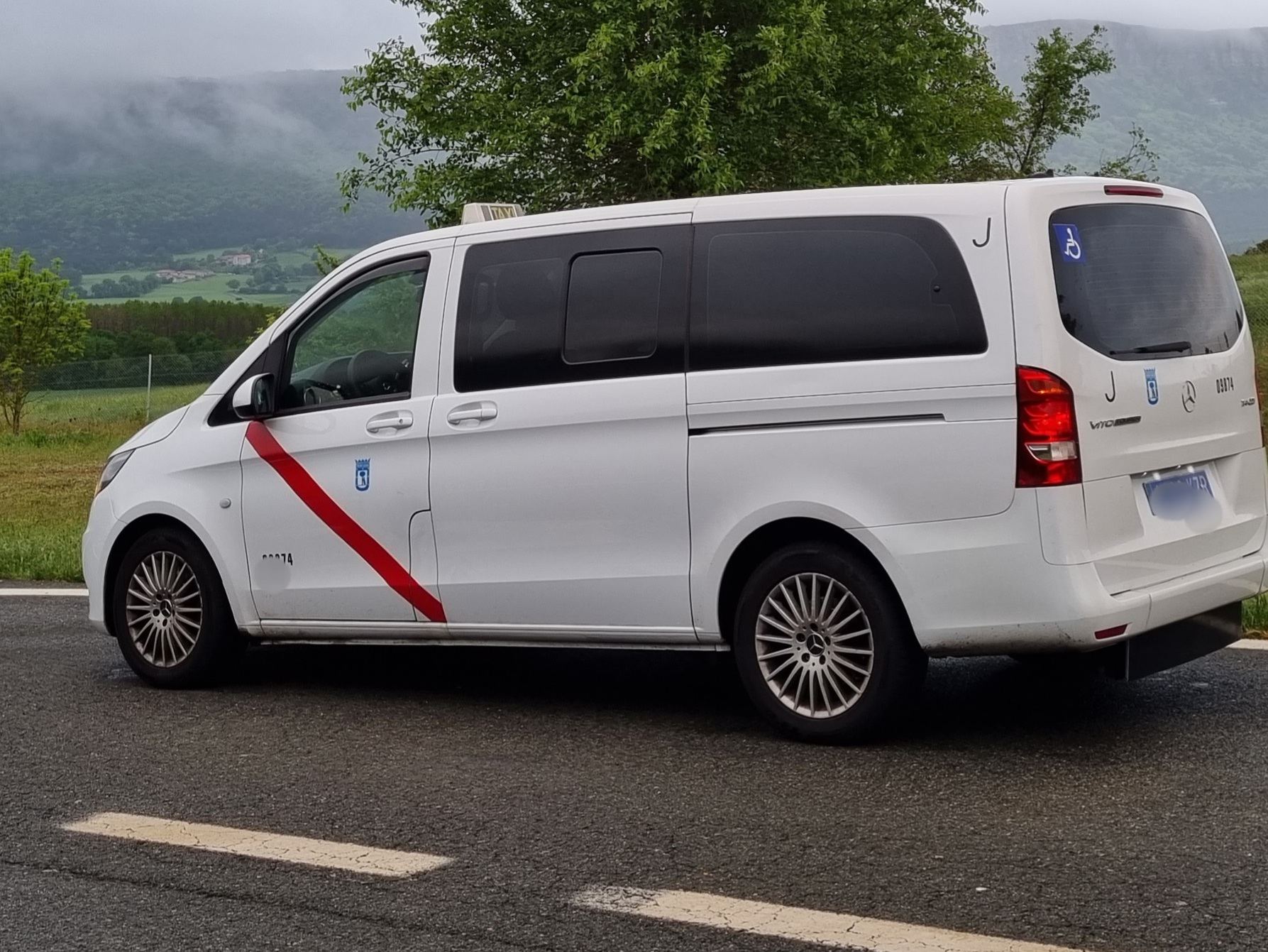 Mercedes Vito en carretera